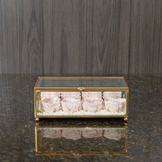 a glass box with 8 light pink preserved roses inside with faux pearls lining the bottom