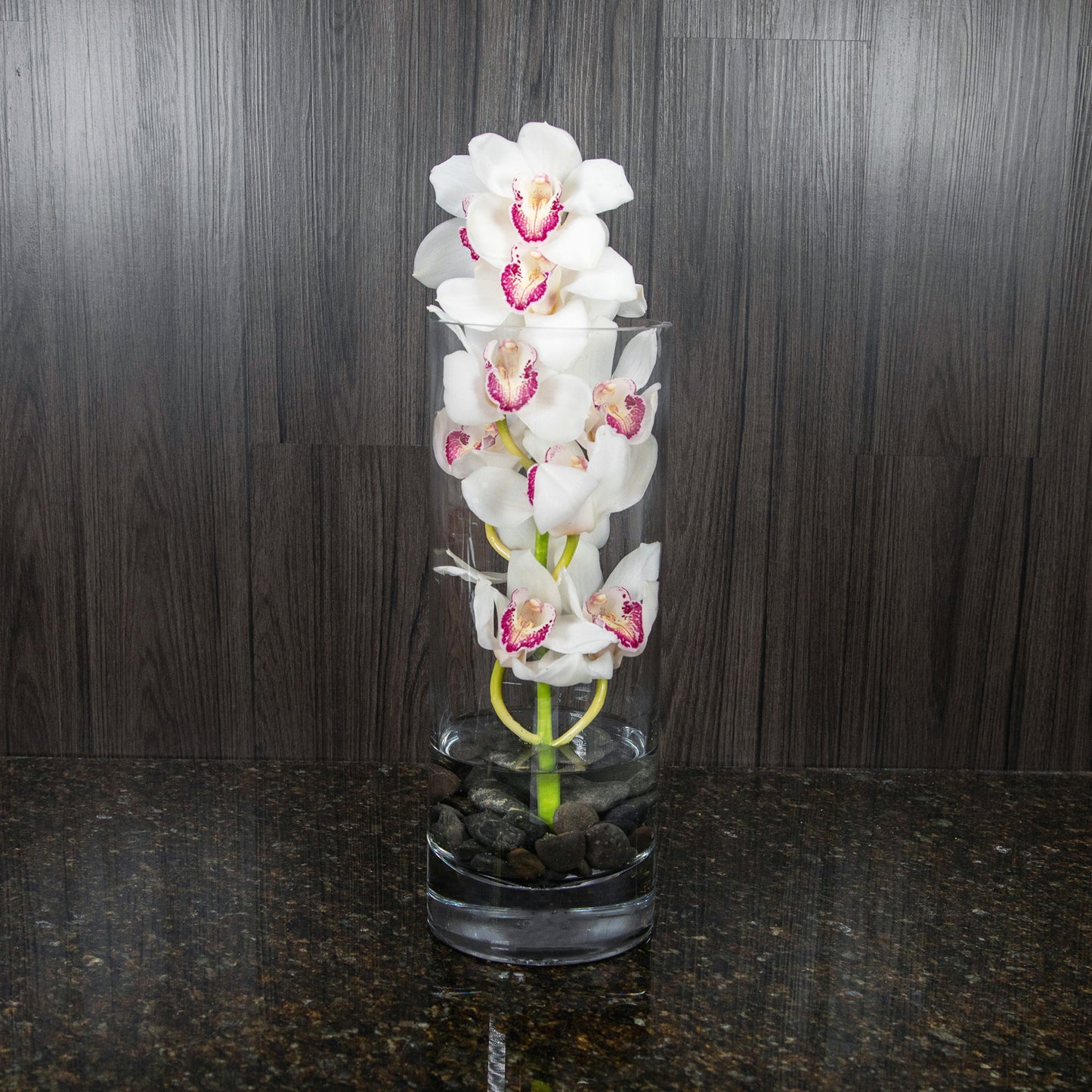 a stem of white cymbidium orchids in a tall glass cylinder with black river rocks at the bottom